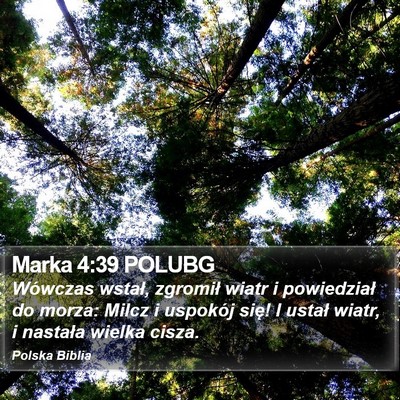 Marka 4:39 POLUBG Bible Verse Image