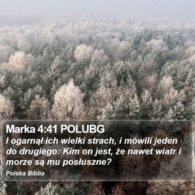 Marka 4:41 POLUBG Bible Verse Image