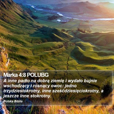 Marka 4:8 POLUBG Bible Verse Image