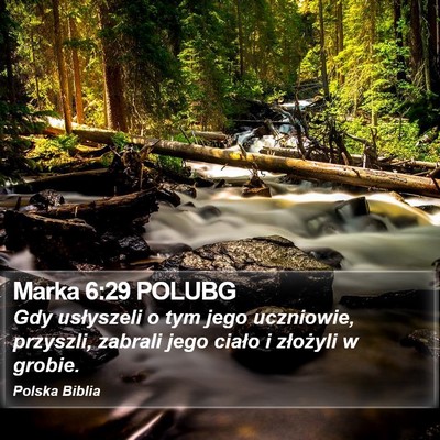 Marka 6:29 POLUBG Bible Verse Image