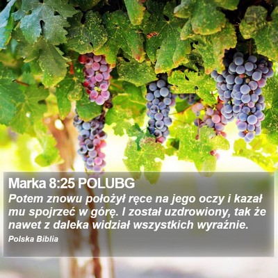 Marka 8:25 POLUBG Bible Verse Image