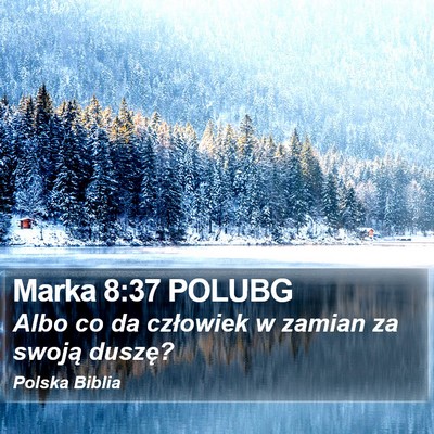 Marka 8:37 POLUBG Bible Verse Image
