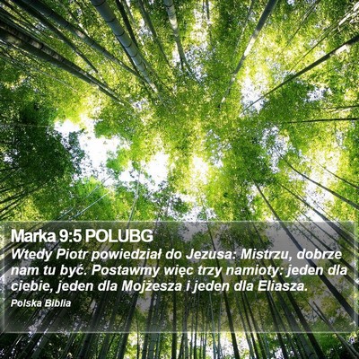 Marka 9:5 POLUBG Bible Verse Image