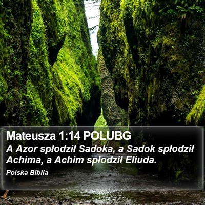 Mateusza 1:14 POLUBG Bible Verse Image