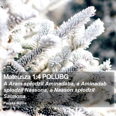 Mateusza 1:4 POLUBG Bible Verse Image