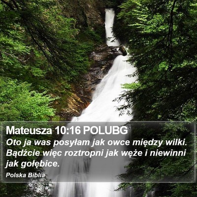 Mateusza 10:16 POLUBG Bible Verse Image