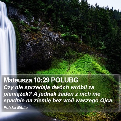 Mateusza 10:29 POLUBG Bible Verse Image
