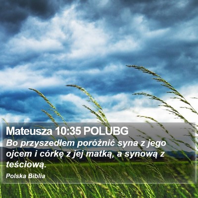 Mateusza 10:35 POLUBG Bible Verse Image