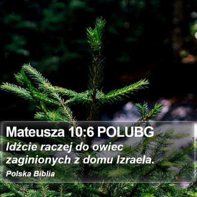 Mateusza 10:6 POLUBG Bible Verse Image