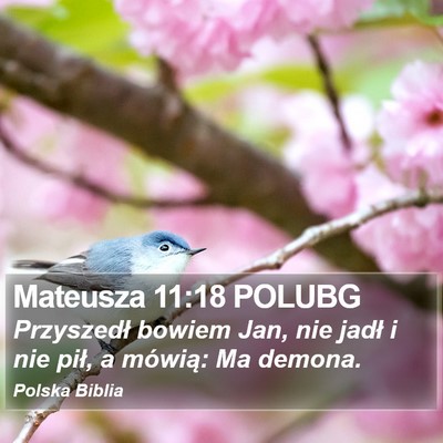 Mateusza 11:18 POLUBG Bible Verse Image