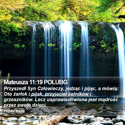 Mateusza 11:19 POLUBG Bible Verse Image