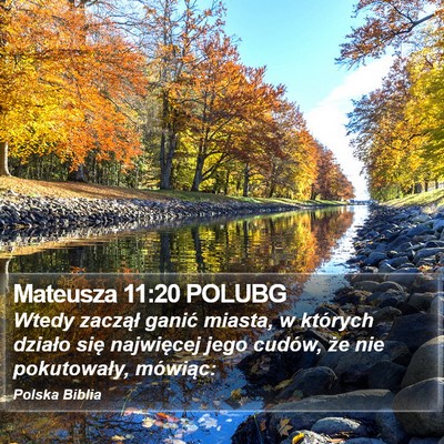 Mateusza 11:20 POLUBG Bible Verse Image