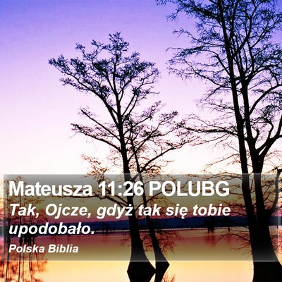 Mateusza 11:26 POLUBG Bible Verse Image