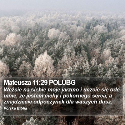 Mateusza 11:29 POLUBG Bible Verse Image