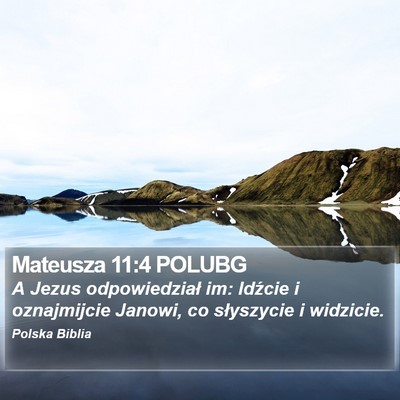 Mateusza 11:4 POLUBG Bible Verse Image