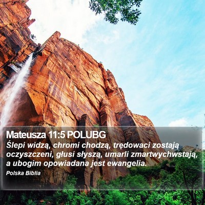 Mateusza 11:5 POLUBG Bible Verse Image