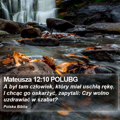 Mateusza 12:10 POLUBG Bible Verse Image