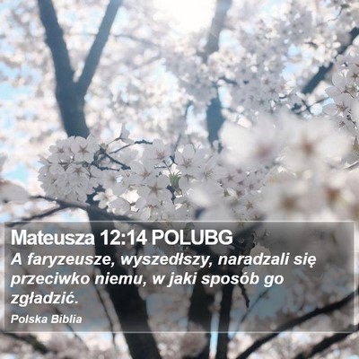 Mateusza 12:14 POLUBG Bible Verse Image