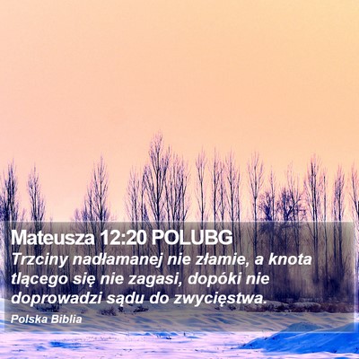 Mateusza 12:20 POLUBG Bible Verse Image