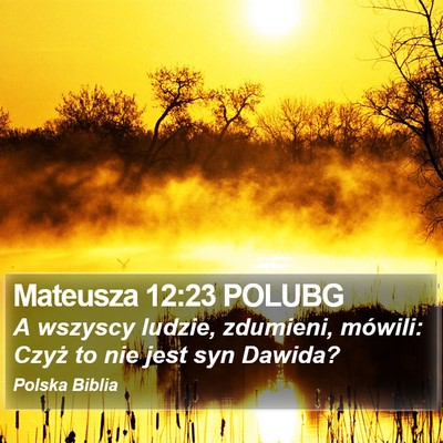 Mateusza 12:23 POLUBG Bible Verse Image
