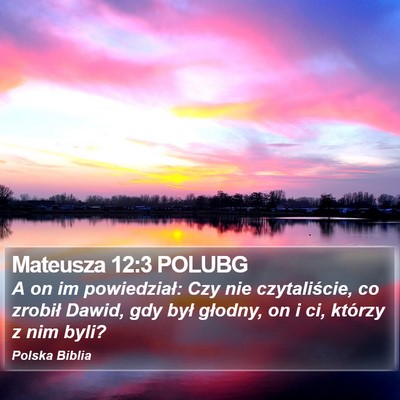 Mateusza 12:3 POLUBG Bible Verse Image