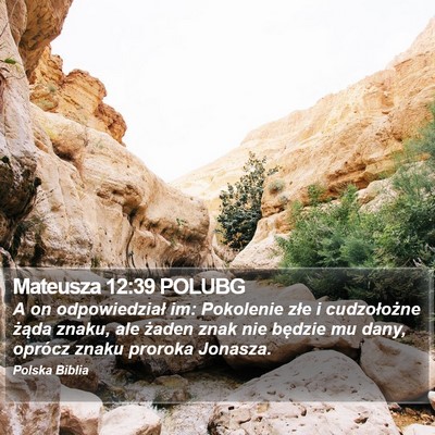 Mateusza 12:39 POLUBG Bible Verse Image
