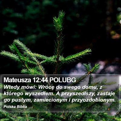 Mateusza 12:44 POLUBG Bible Verse Image