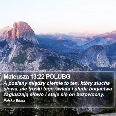 Mateusza 13:22 POLUBG Bible Verse Image