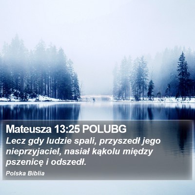Mateusza 13:25 POLUBG Bible Verse Image
