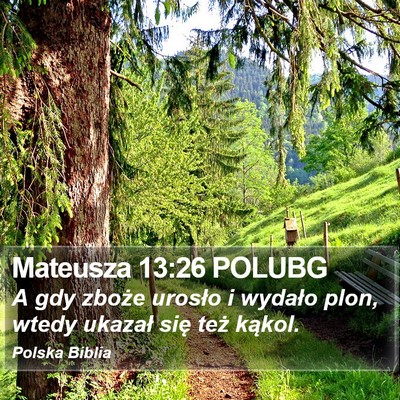 Mateusza 13:26 POLUBG Bible Verse Image