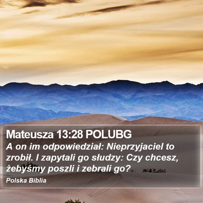 Mateusza 13:28 POLUBG Bible Verse Image