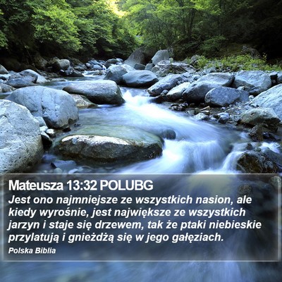 Mateusza 13:32 POLUBG Bible Verse Image