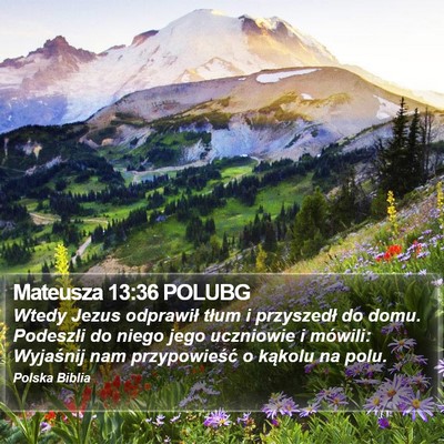 Mateusza 13:36 POLUBG Bible Verse Image