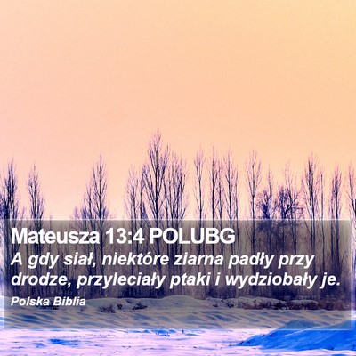 Mateusza 13:4 POLUBG Bible Verse Image