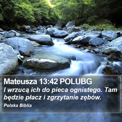 Mateusza 13:42 POLUBG Bible Verse Image