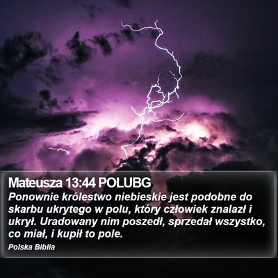 Mateusza 13:44 POLUBG Bible Verse Image