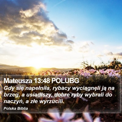 Mateusza 13:48 POLUBG Bible Verse Image