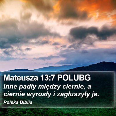 Mateusza 13:7 POLUBG Bible Verse Image