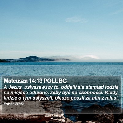 Mateusza 14:13 POLUBG Bible Verse Image