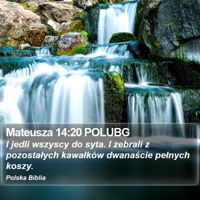 Mateusza 14:20 POLUBG Bible Verse Image