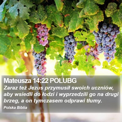 Mateusza 14:22 POLUBG Bible Verse Image