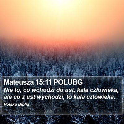 Mateusza 15:11 POLUBG Bible Verse Image