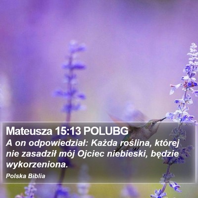Mateusza 15:13 POLUBG Bible Verse Image