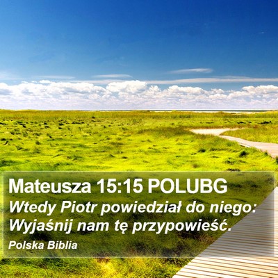 Mateusza 15:15 POLUBG Bible Verse Image