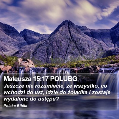 Mateusza 15:17 POLUBG Bible Verse Image