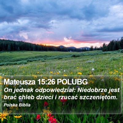 Mateusza 15:26 POLUBG Bible Verse Image