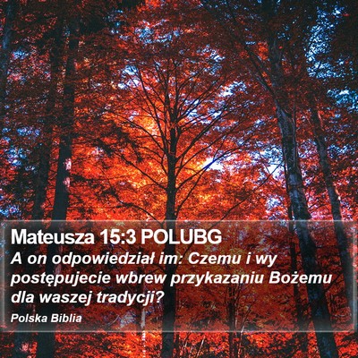 Mateusza 15:3 POLUBG Bible Verse Image