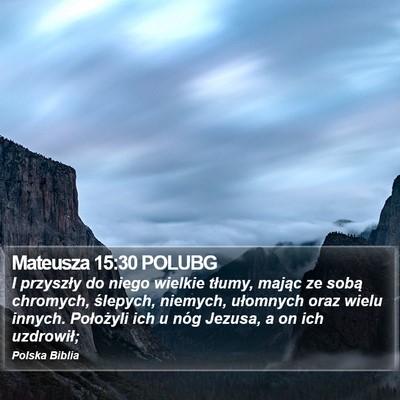 Mateusza 15:30 POLUBG Bible Verse Image