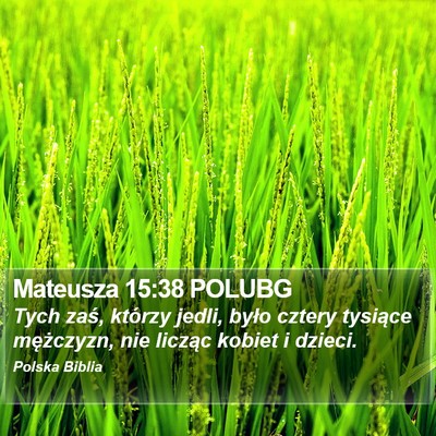 Mateusza 15:38 POLUBG Bible Verse Image