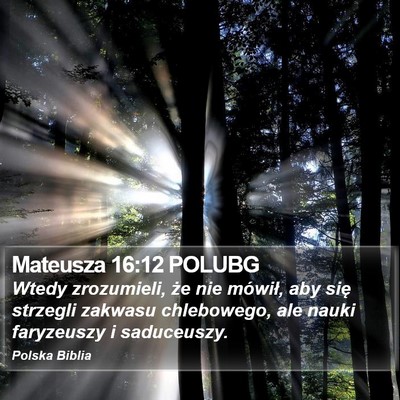 Mateusza 16:12 POLUBG Bible Verse Image
